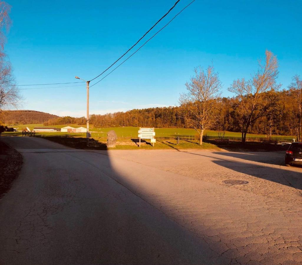 Gite D'Han Le Coin Han-sur-Lesse Kültér fotó